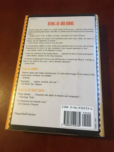 Being-In-Dreaming cover