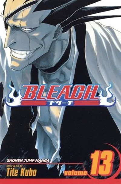 Bleach, Volume 13 cover