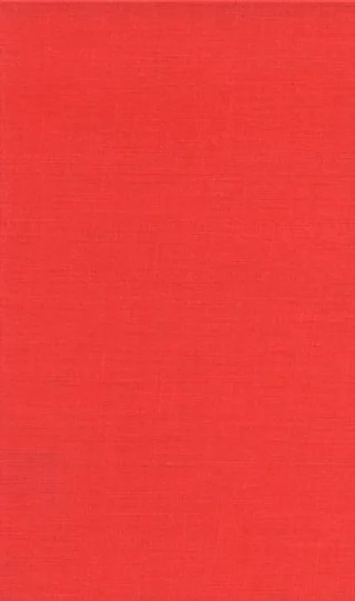 The City Game: Basketball from the Garden to the Playgrounds